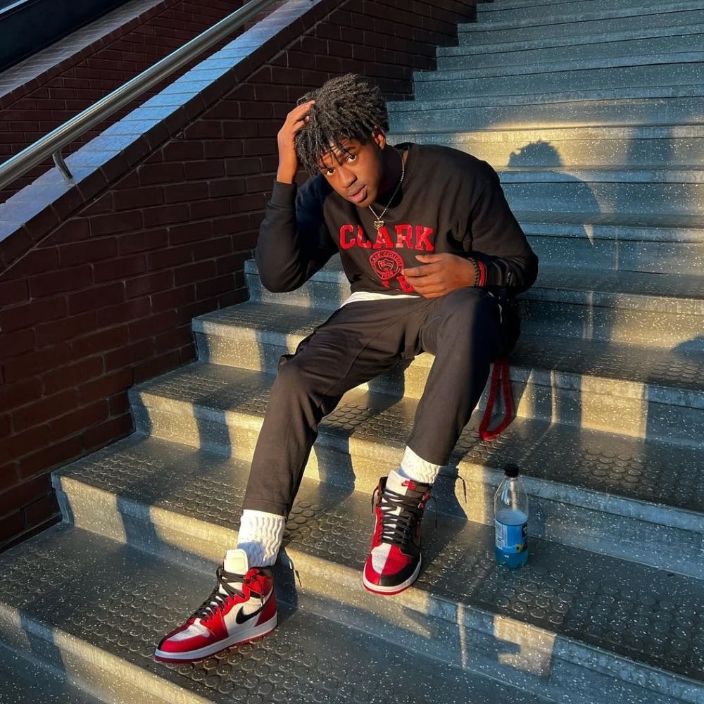 Air Jordan 1 Retro High Homage to Home Chicago
