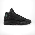 Air Jordan 13 Wings